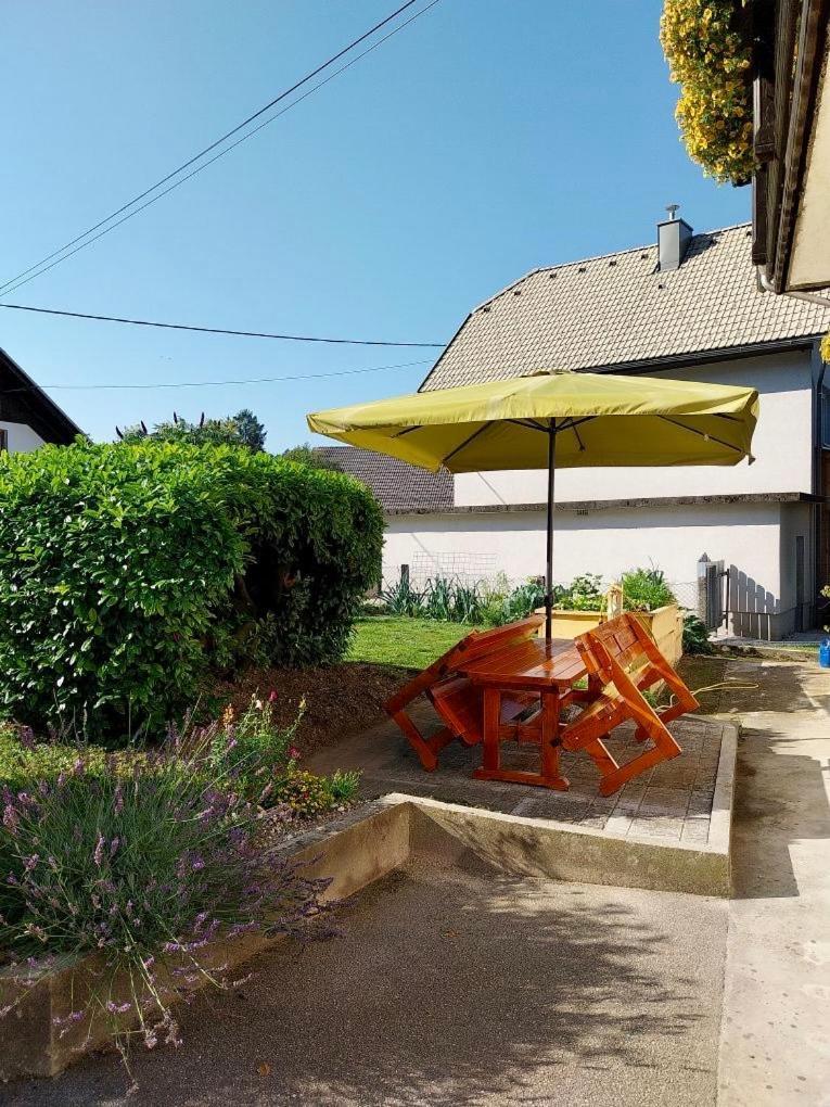 Apartma Jana Zirovnica Bagian luar foto